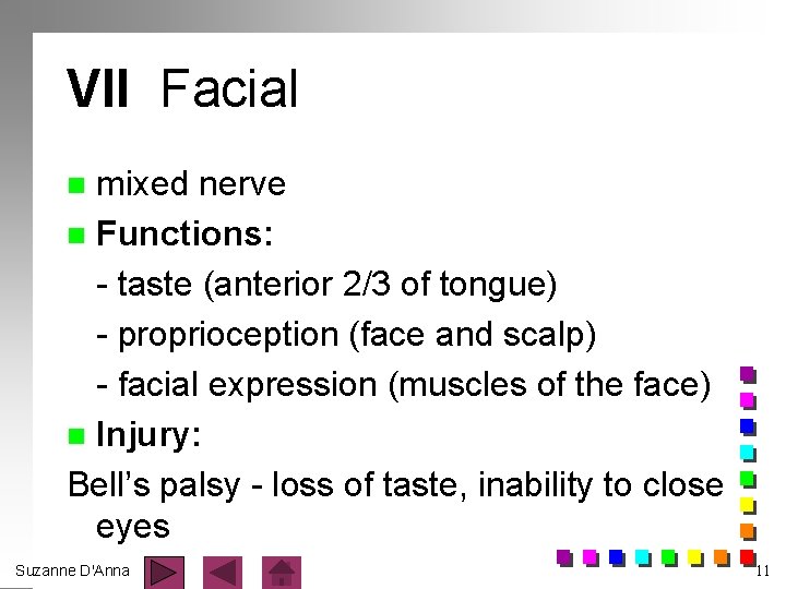 VII Facial mixed nerve n Functions: - taste (anterior 2/3 of tongue) - proprioception