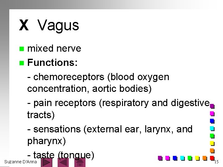 X Vagus mixed nerve n Functions: - chemoreceptors (blood oxygen concentration, aortic bodies) -