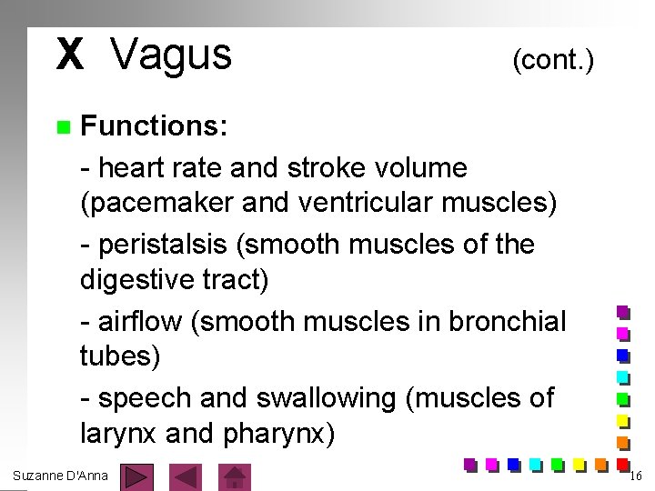 X Vagus n (cont. ) Functions: - heart rate and stroke volume (pacemaker and