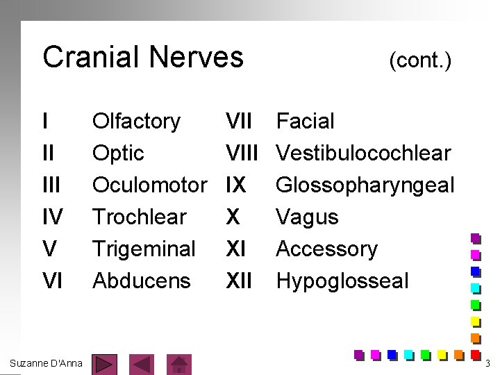 Cranial Nerves I II IV V VI Suzanne D'Anna Olfactory Optic Oculomotor Trochlear Trigeminal