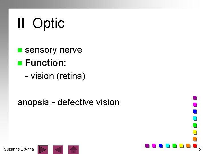 II Optic sensory nerve n Function: - vision (retina) n anopsia - defective vision