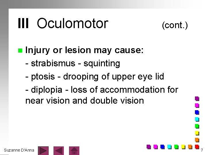 III Oculomotor n (cont. ) Injury or lesion may cause: - strabismus - squinting