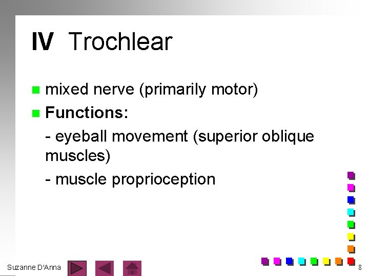 IV Trochlear mixed nerve (primarily motor) n Functions: - eyeball movement (superior oblique muscles)