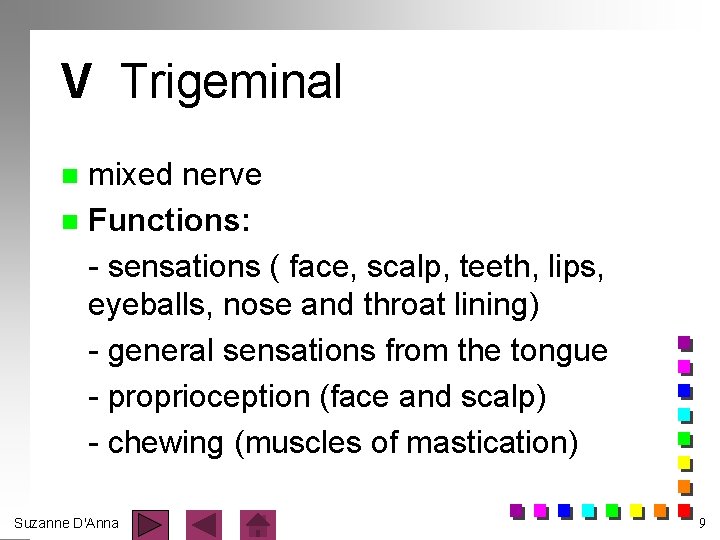 V Trigeminal mixed nerve n Functions: - sensations ( face, scalp, teeth, lips, eyeballs,