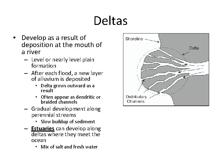 Deltas • Develop as a result of deposition at the mouth of a river