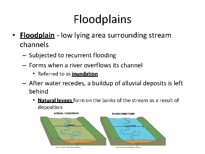 Floodplains • Floodplain - low lying area surrounding stream channels – Subjected to recurrent