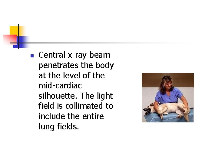 n Central x-ray beam penetrates the body at the level of the mid-cardiac silhouette.