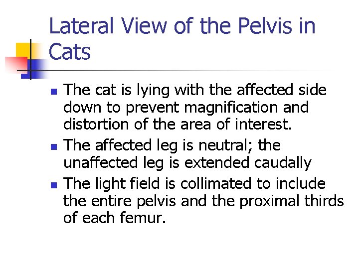 Lateral View of the Pelvis in Cats n n n The cat is lying