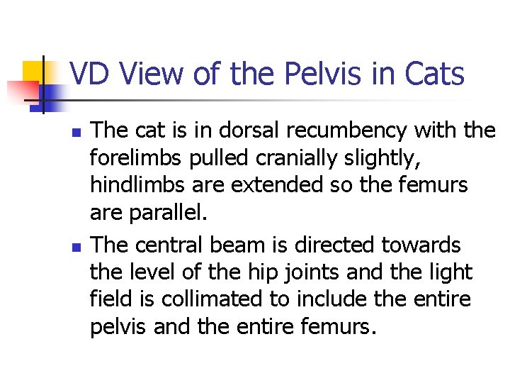 VD View of the Pelvis in Cats n n The cat is in dorsal