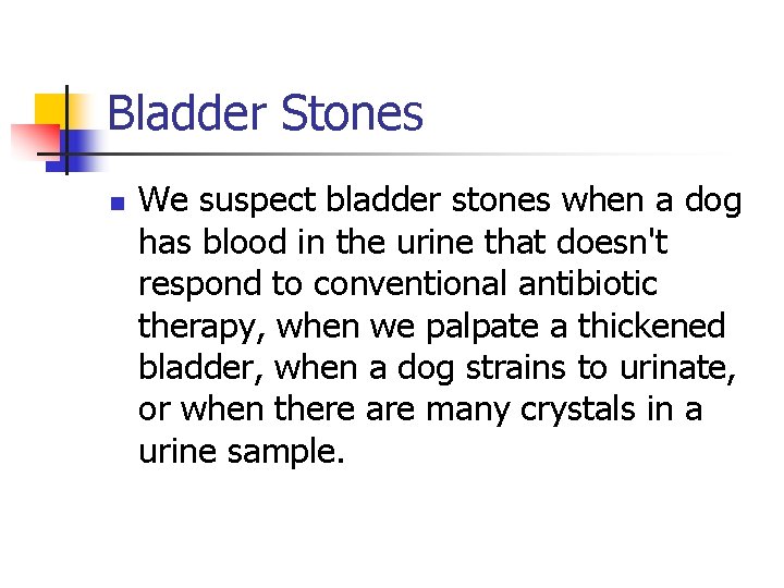 Bladder Stones n We suspect bladder stones when a dog has blood in the
