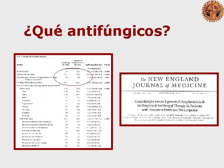 ¿Qué antifúngicos? 