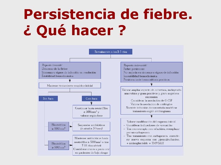 Persistencia de fiebre. ¿ Qué hacer ? 