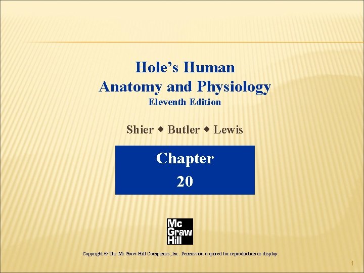 Hole’s Human Anatomy and Physiology Eleventh Edition Shier w Butler w Lewis Chapter 20