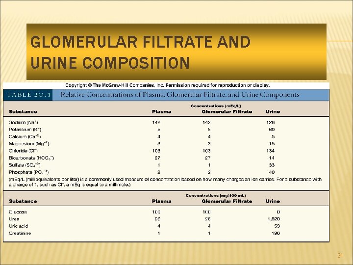 GLOMERULAR FILTRATE AND URINE COMPOSITION 21 