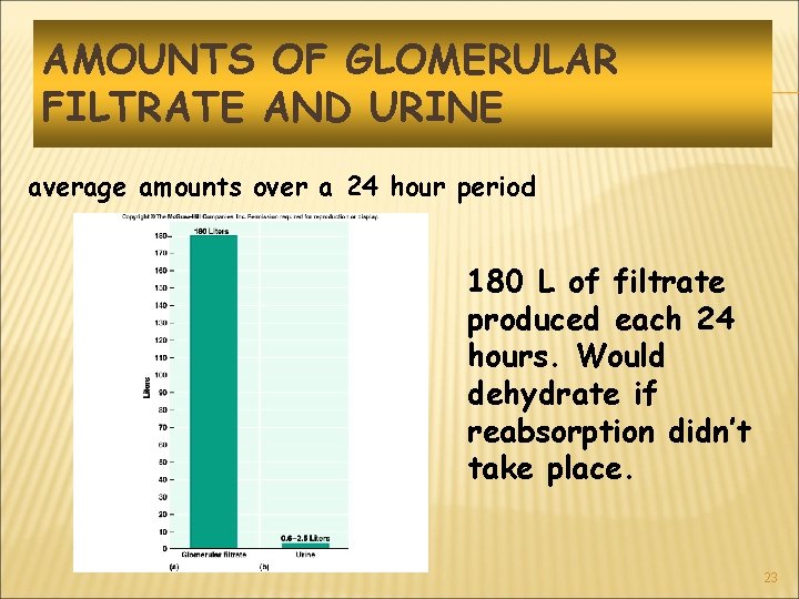 AMOUNTS OF GLOMERULAR FILTRATE AND URINE average amounts over a 24 hour period 180