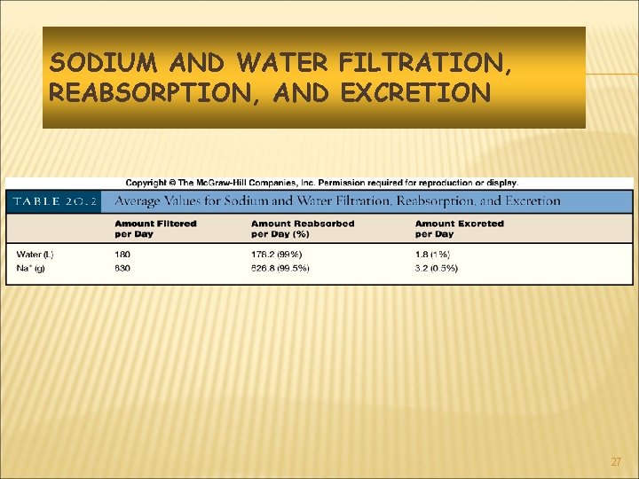 SODIUM AND WATER FILTRATION, REABSORPTION, AND EXCRETION 27 