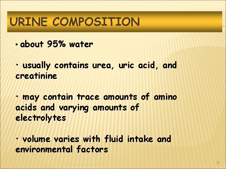 URINE COMPOSITION • about 95% water • usually contains urea, uric acid, and creatinine