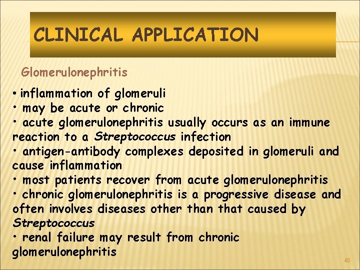 CLINICAL APPLICATION Glomerulonephritis • inflammation of glomeruli • may be acute or chronic •