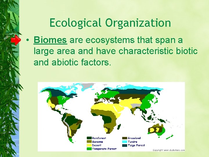 Ecological Organization • Biomes are ecosystems that span a large area and have characteristic