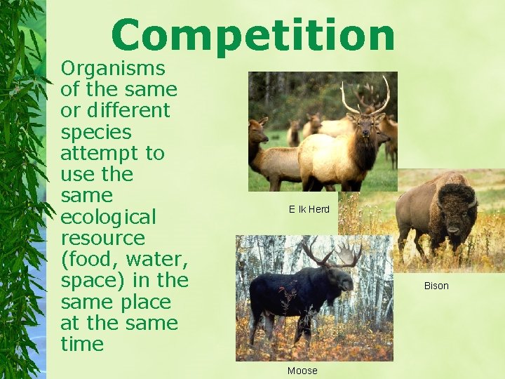 Competition Organisms of the same or different species attempt to use the same ecological