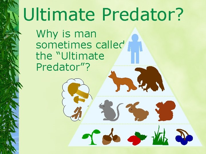 Ultimate Predator? Why is man sometimes called the “Ultimate Predator”? 