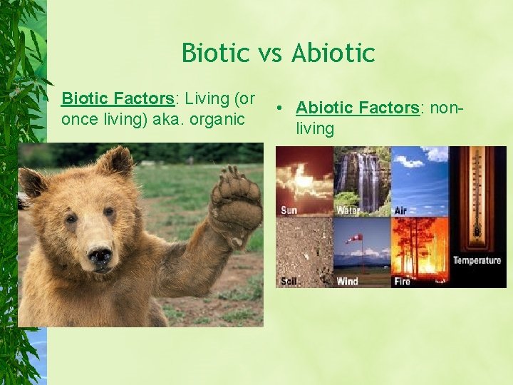 Biotic vs Abiotic • Biotic Factors: Living (or once living) aka. organic • Abiotic