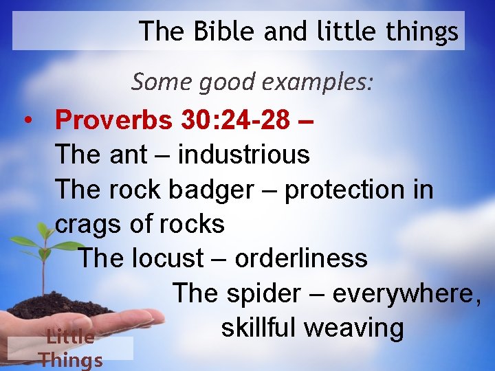 The Bible and little things Some good examples: • Proverbs 30: 24 -28 –
