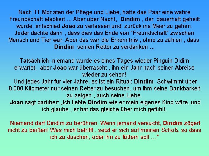 Nach 11 Monaten der Pflege und Liebe, hatte das Paar eine wahre Freundschaft etabliert.