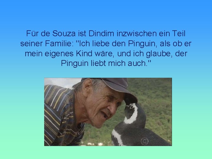 Für de Souza ist Dindim inzwischen ein Teil seiner Familie: "Ich liebe den Pinguin,