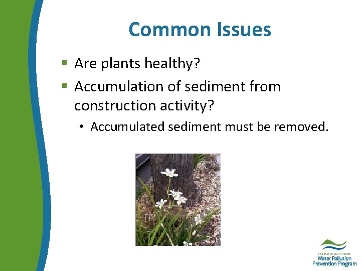 Common Issues § Are plants healthy? § Accumulation of sediment from construction activity? •