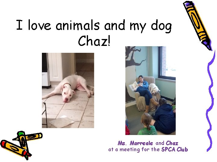 I love animals and my dog Chaz! Ms. Morreale and Chaz at a meeting