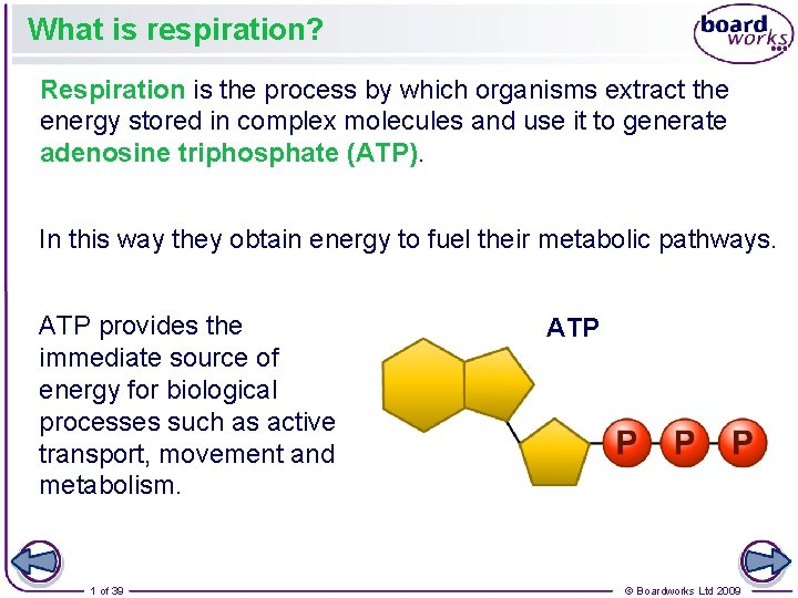 What is respiration? Respiration is the process by which organisms extract the energy stored