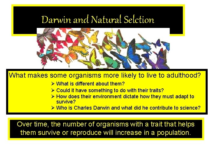 Darwin and Natural Selction What makes some organisms more likely to live to adulthood?