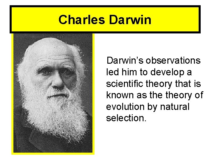 Charles Darwin’s observations led him to develop a scientific theory that is known as