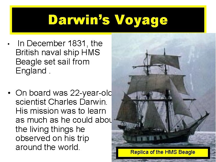 Darwin’s Voyage • In December 1831, the British naval ship HMS Beagle set sail