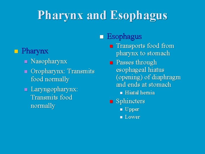 Pharynx and Esophagus n n Pharynx n n n Nasopharynx Oropharynx: Transmits food normally