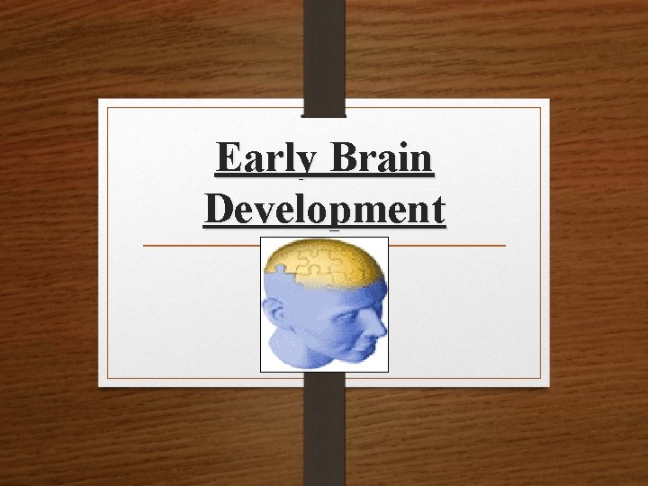 Early Brain Development 