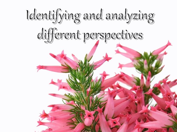 Identifying and analyzing different perspectives 