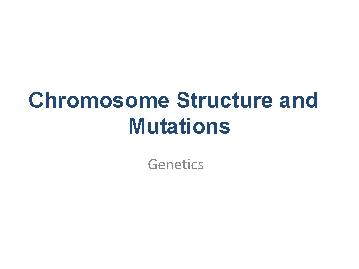 Chromosome Structure and Mutations Genetics 