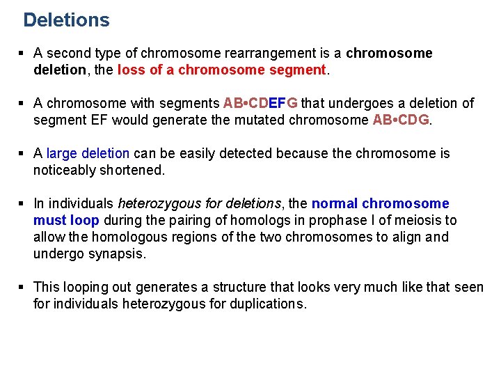 Deletions § A second type of chromosome rearrangement is a chromosome deletion, the loss