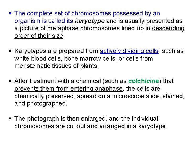 § The complete set of chromosomes possessed by an organism is called its karyotype