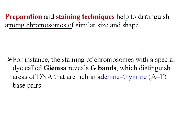 Preparation and staining techniques help to distinguish among chromosomes of similar size and shape.