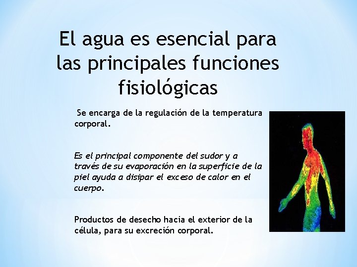 El agua es esencial para las principales funciones fisiológicas Se encarga de la regulación