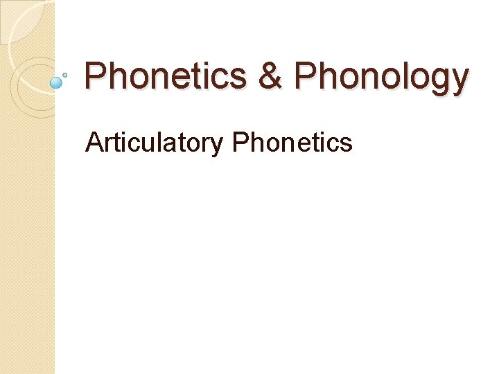 Phonetics & Phonology Articulatory Phonetics 