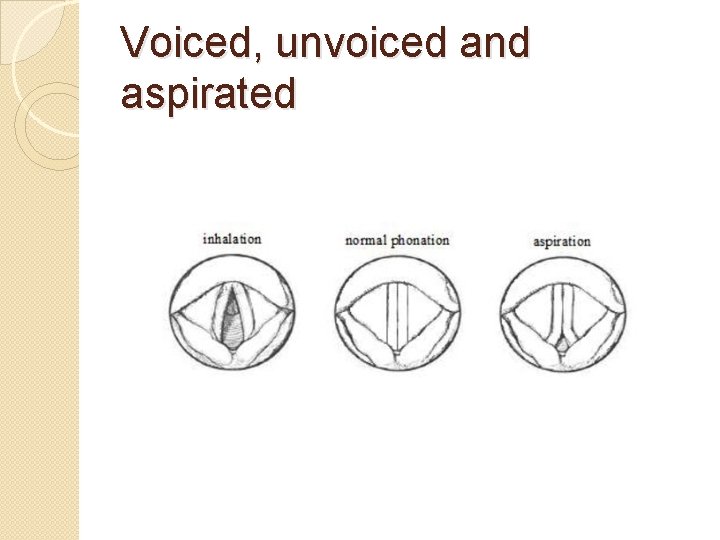 Voiced, unvoiced and aspirated 