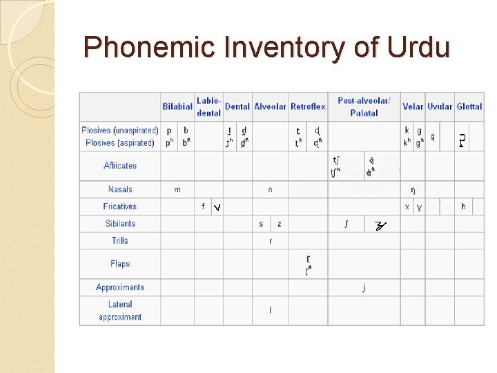 Phonemic Inventory of Urdu 