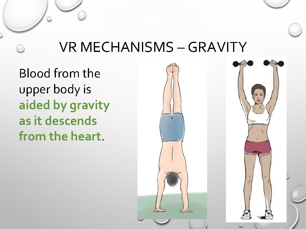 VR MECHANISMS – GRAVITY Blood from the upper body is aided by gravity as