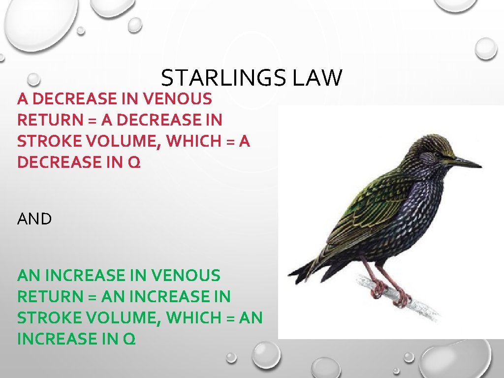 STARLINGS LAW A DECREASE IN VENOUS RETURN = A DECREASE IN STROKE VOLUME, WHICH