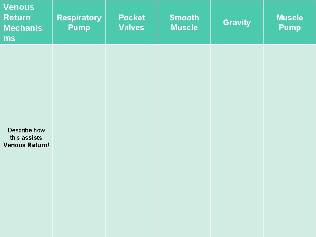 Venous Return Mechanis ms Describe how this assists Venous Return! Respiratory Pump Pocket Valves