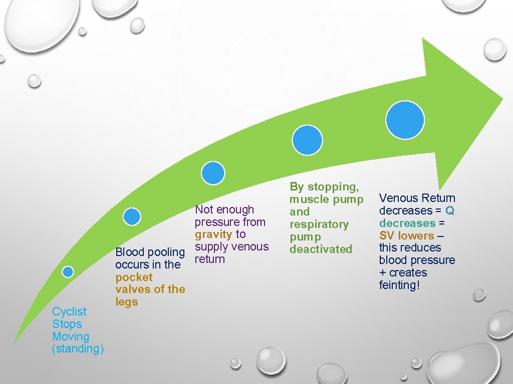 Cyclist Stops Moving (standing) Not enough pressure from gravity to Blood pooling supply venous